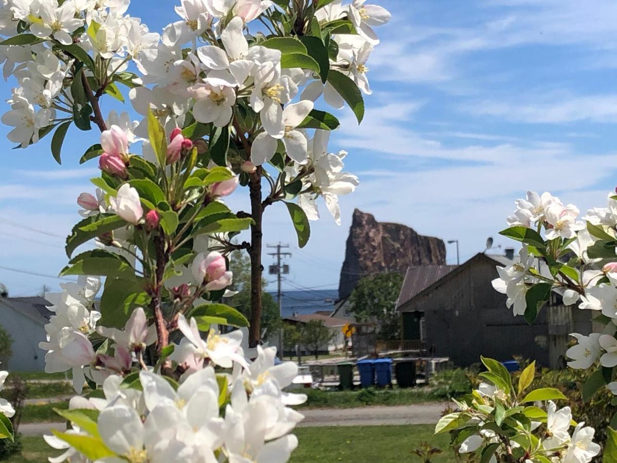 Motel Le Repos Perce Luaran gambar